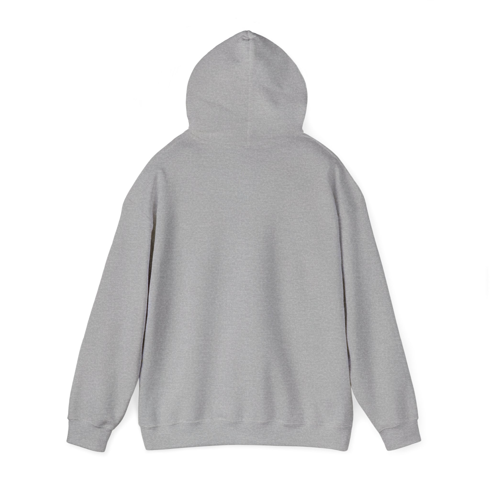 Devops 01 - Hoodie (PixelPunch) - Modern